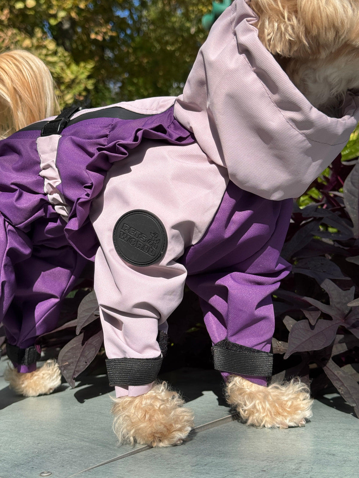 Membrane waterproof dog suite lilac purple — Girl — Synthetic down insulation with fleece
