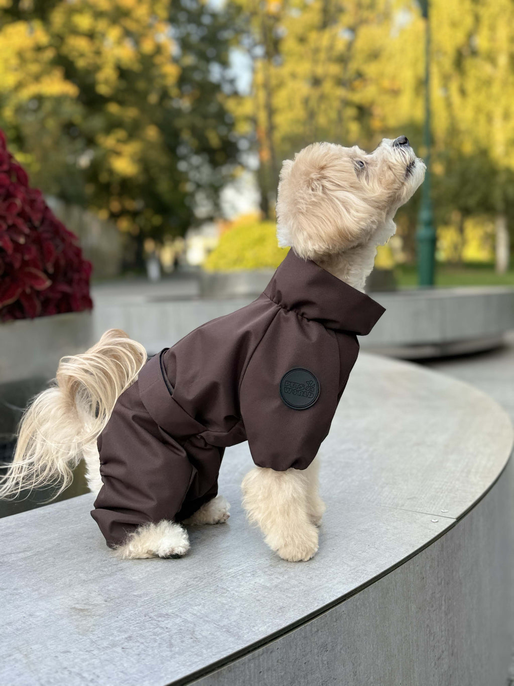 Membrane waterproof dog suite chocolate — Boy — Synthetic down insulation with fleece