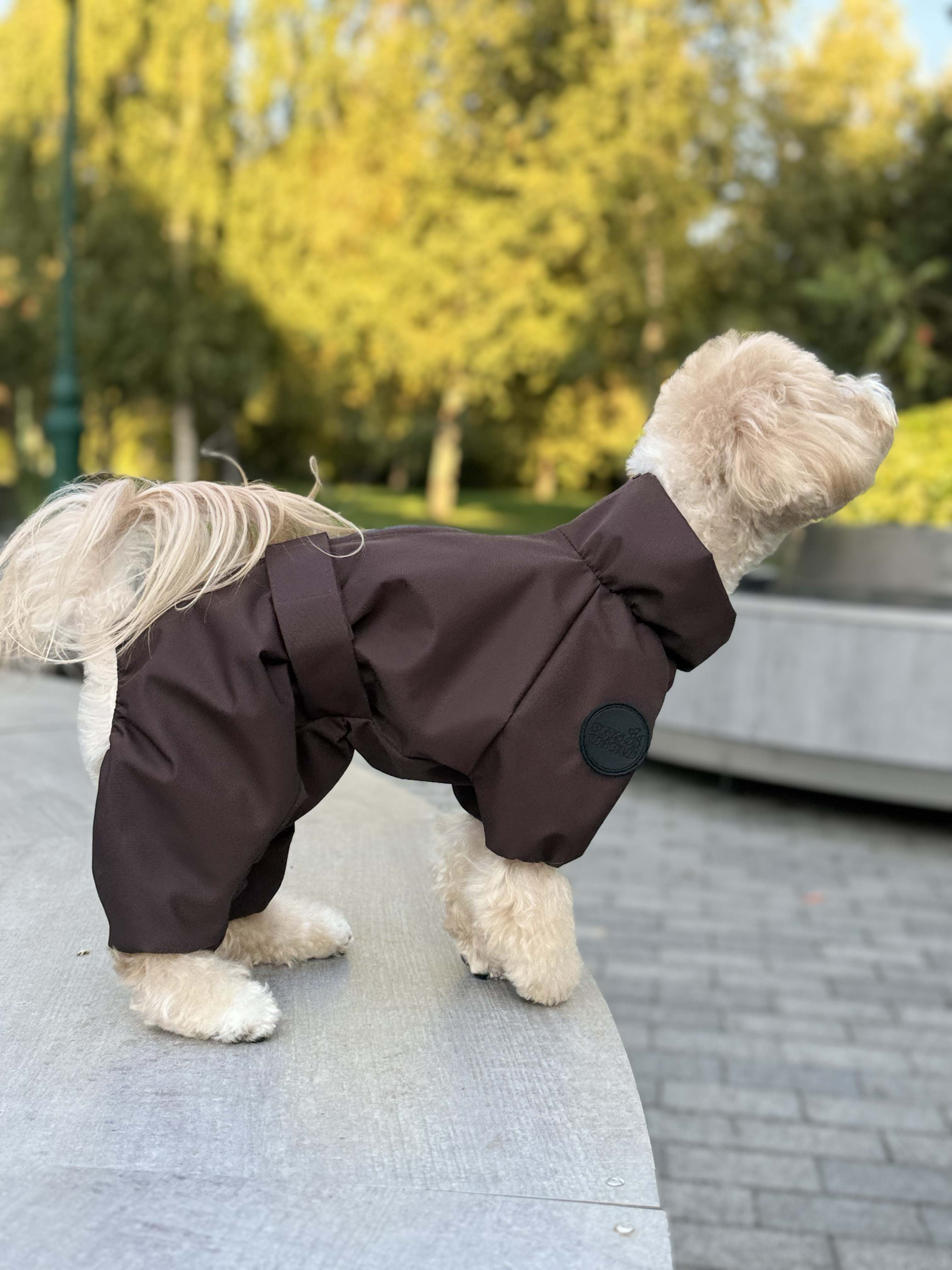 Membrane waterproof dog suite chocolate — Boy — Synthetic down insulation with fleece