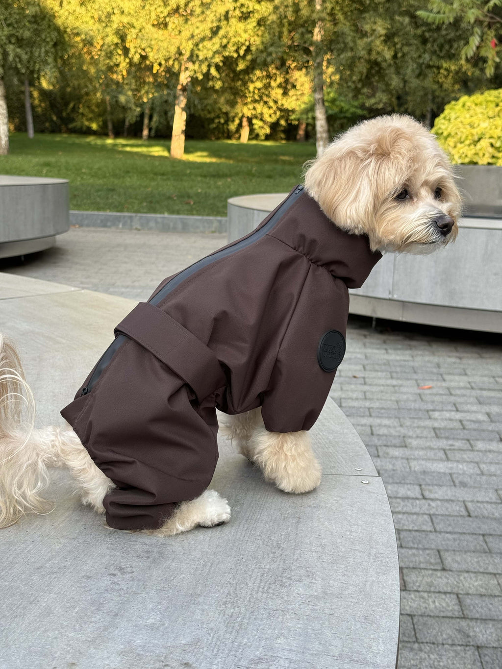 Membrane waterproof dog suite chocolate — Boy — Synthetic down insulation with fleece