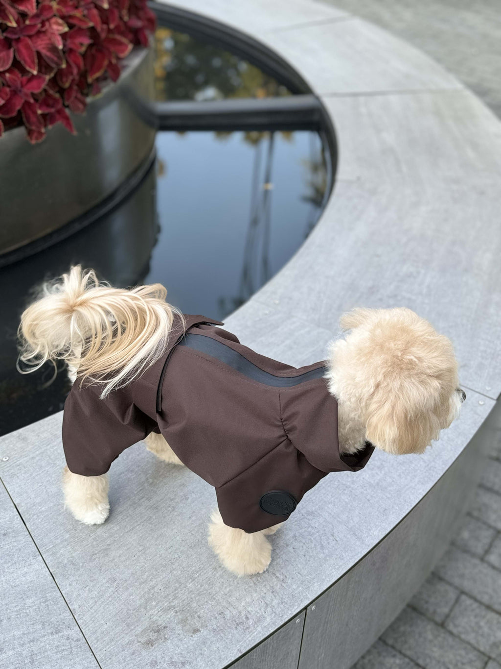 Membrane waterproof dog suite chocolate — Boy — Synthetic down insulation with fleece