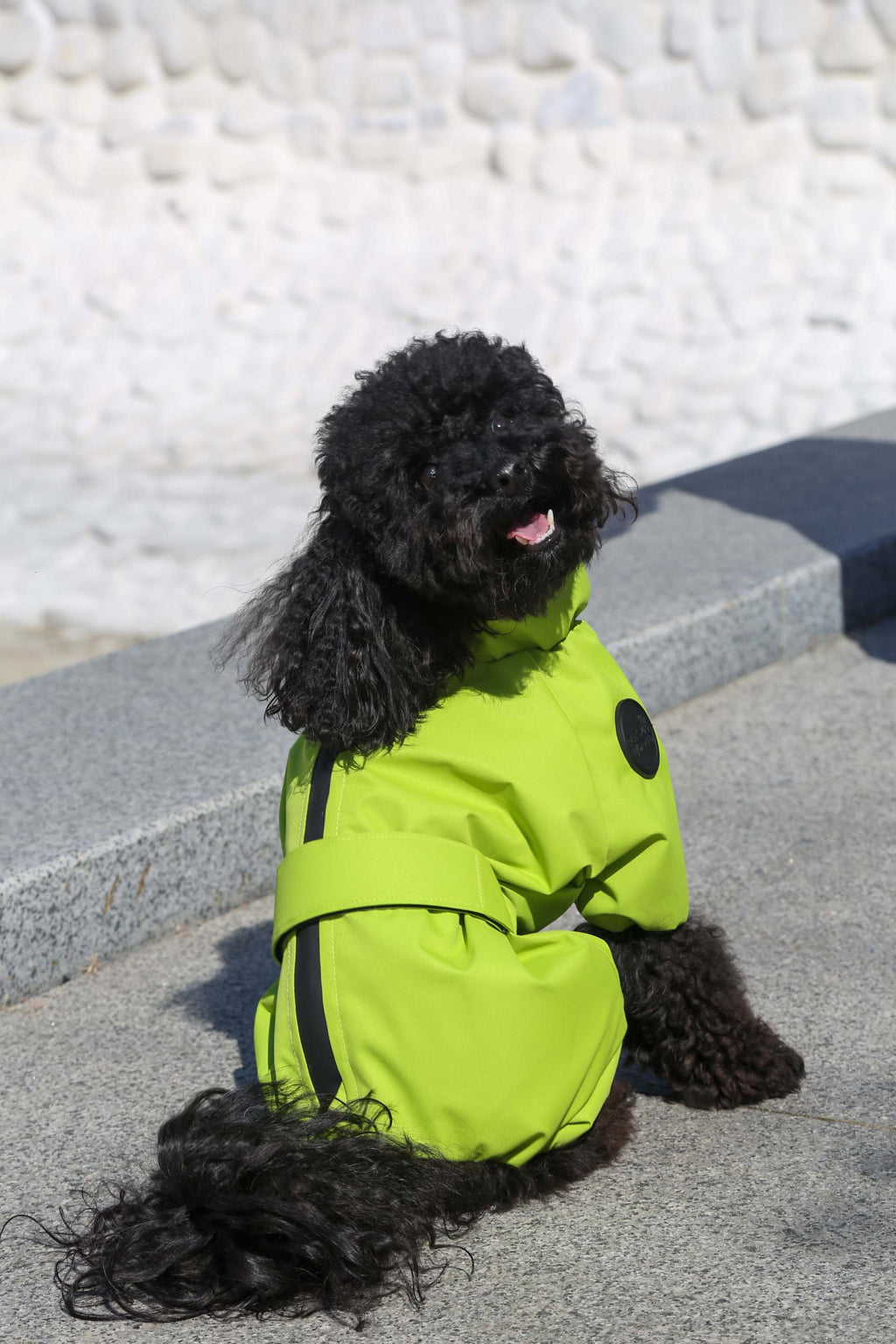 Membrane waterproof dog suite lime — Boy — Synthetic down insulation with fleece