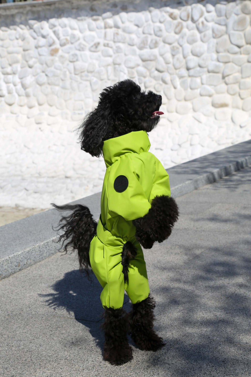 Membrane waterproof dog suite lime — Boy — Synthetic down insulation with fleece