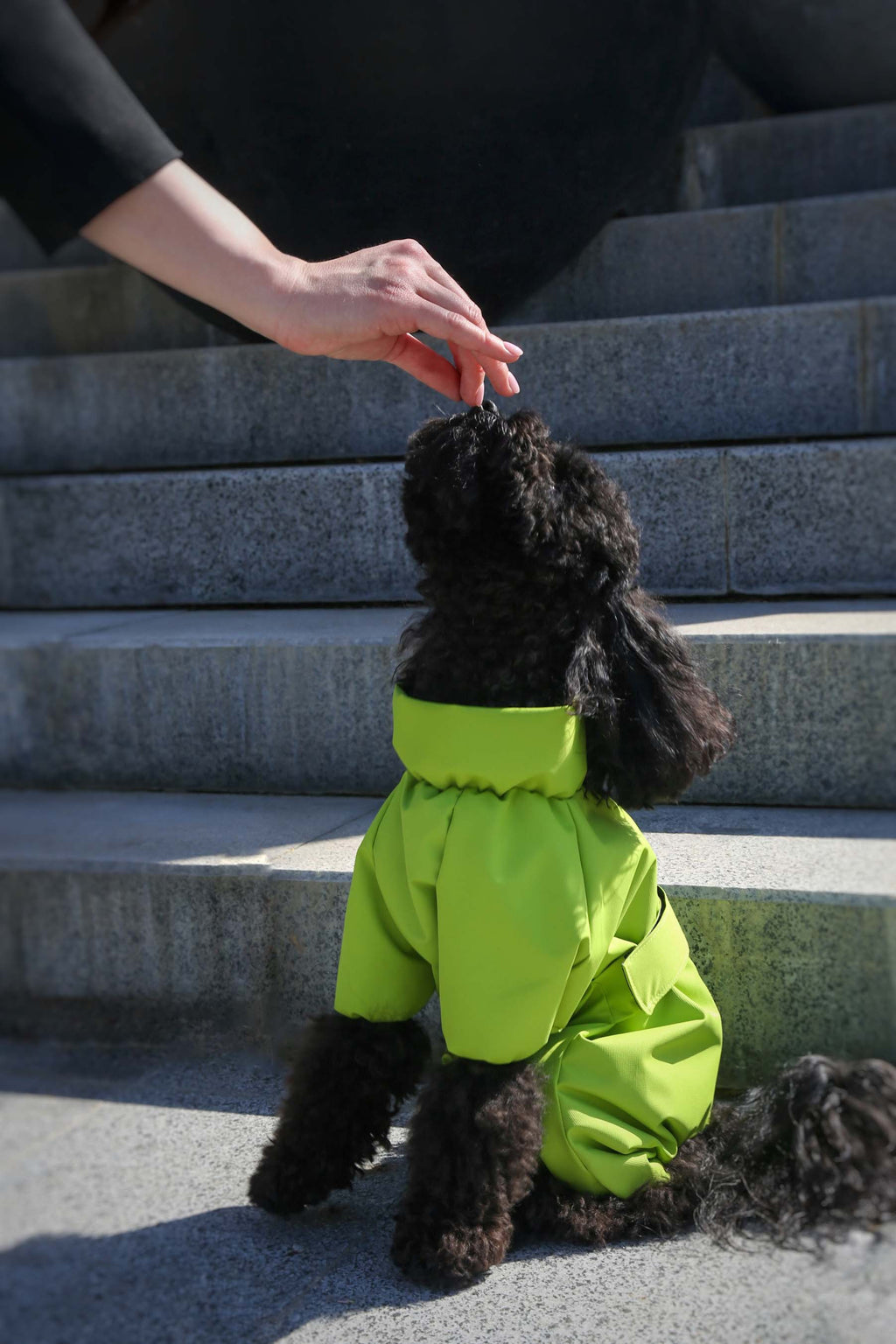 Membrane waterproof dog suite lime — Boy — Synthetic down insulation with fleece