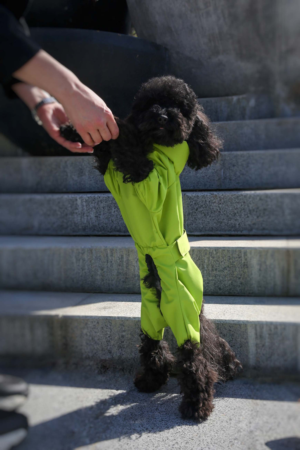 Membrane waterproof dog suite lime — Boy — Synthetic down insulation with fleece