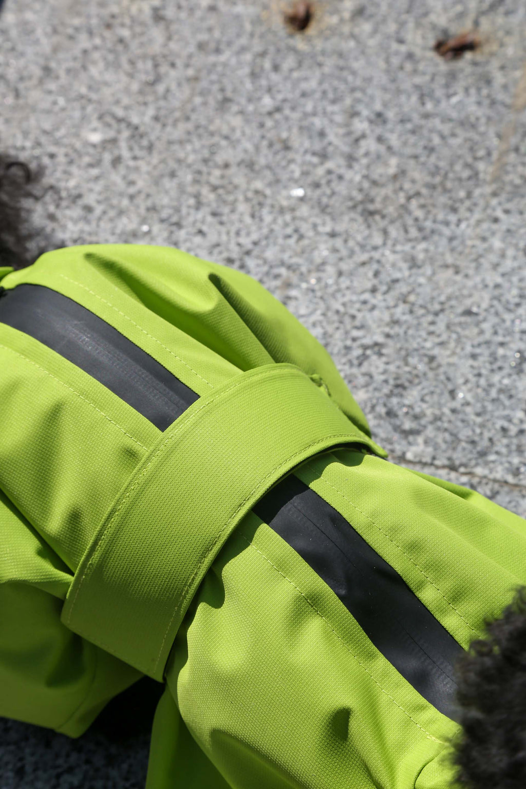 Membrane waterproof dog suite lime — Boy — Synthetic down insulation with fleece