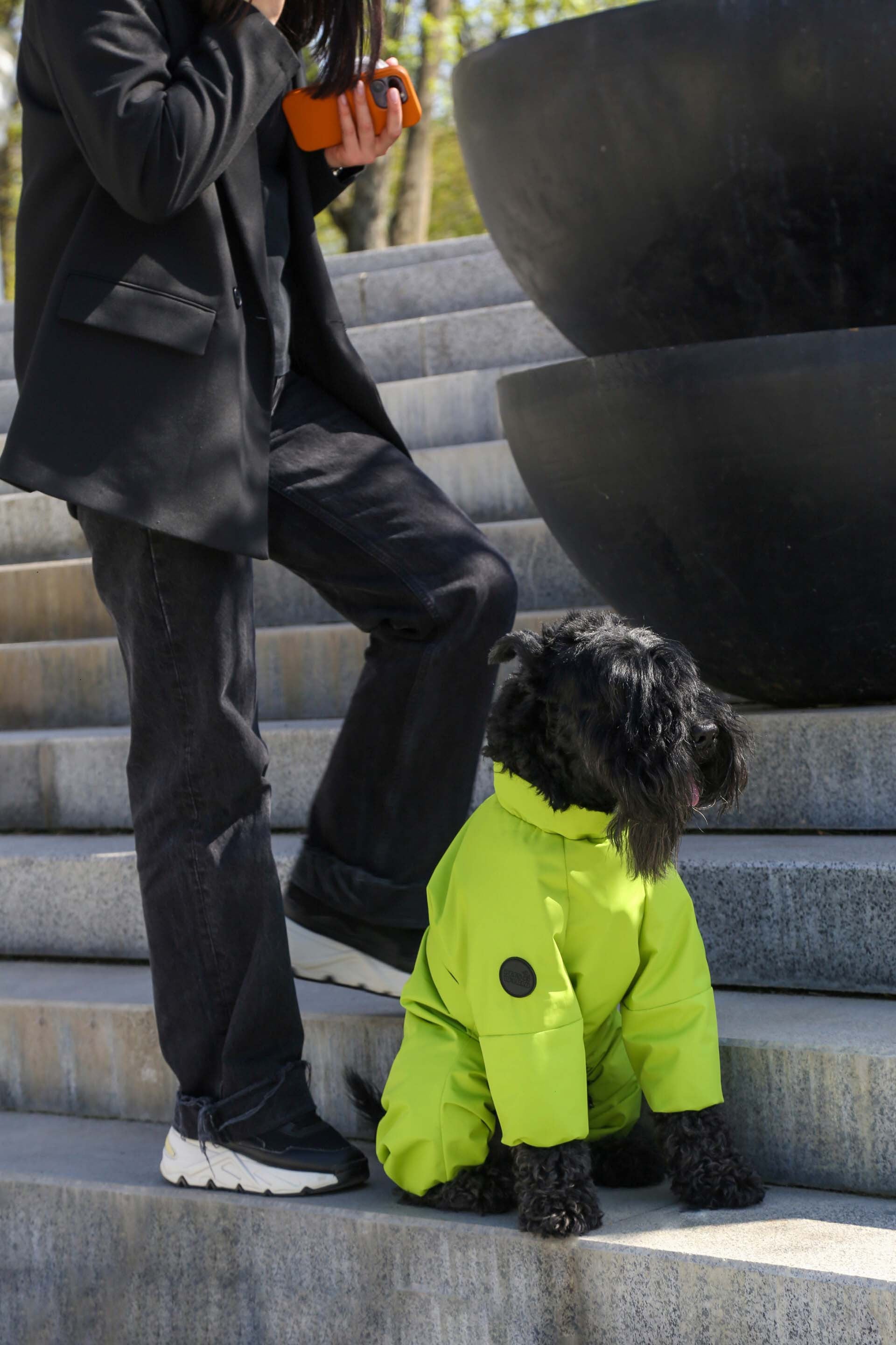 Membrane waterproof dog suite lime — Boy — Synthetic down insulation with fleece