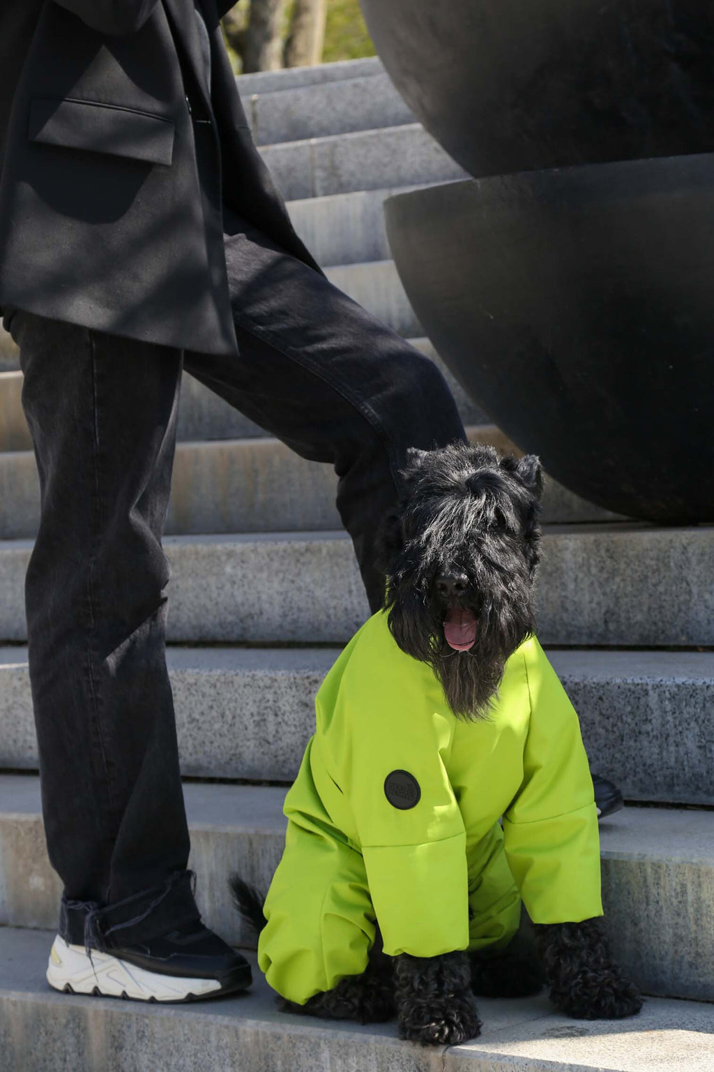 Membrane waterproof dog suite lime — Boy — Synthetic down insulation with fleece
