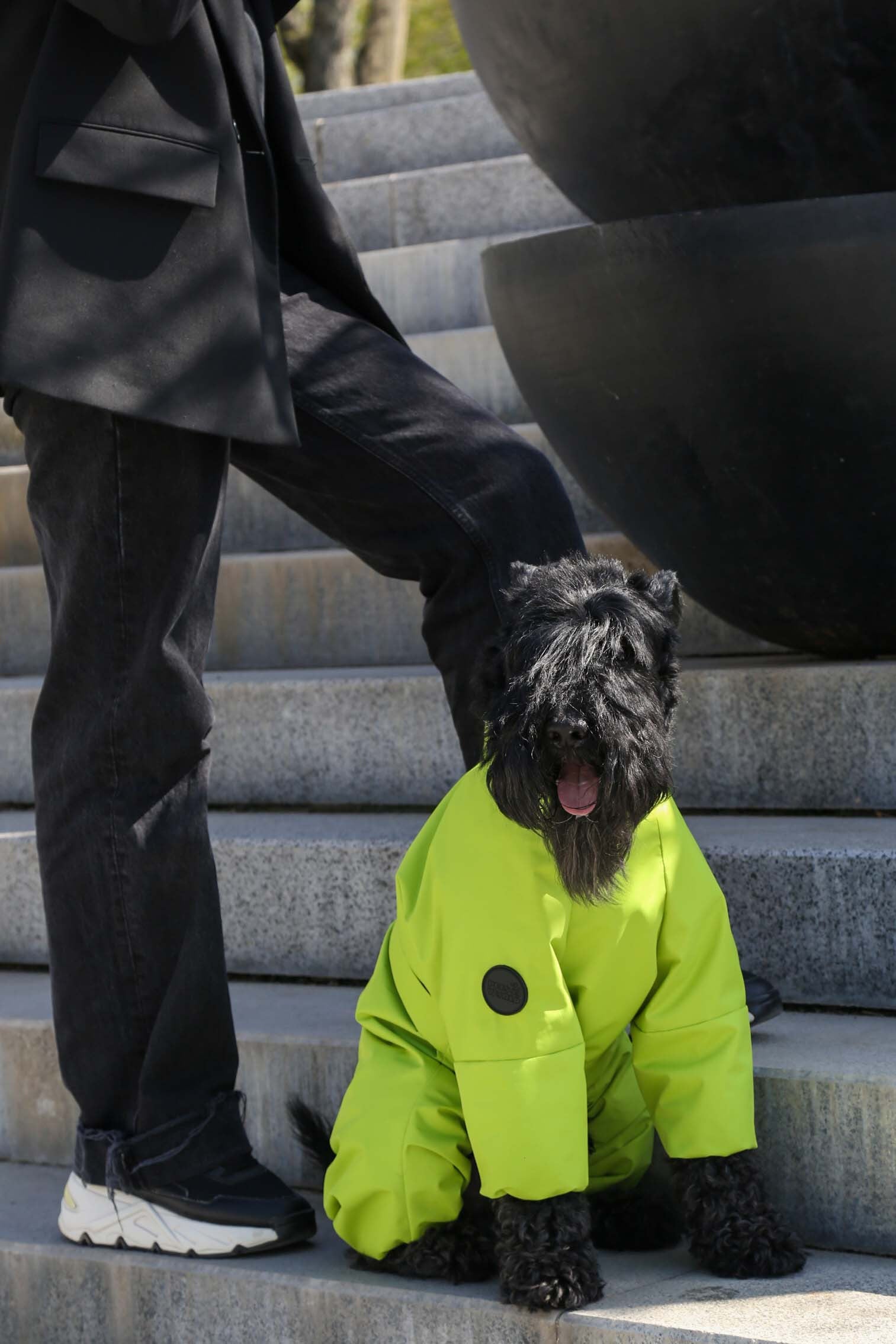 Membrane waterproof dog suite lime — Boy — Synthetic down insulation with fleece