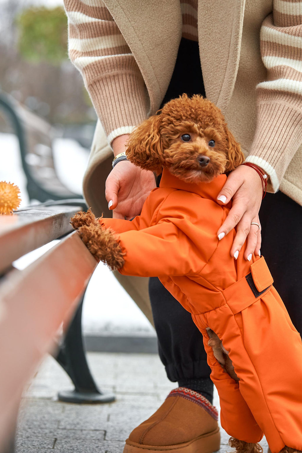 Membrane waterproof dog suite orange — Boy — Synthetic down insulation with fleece