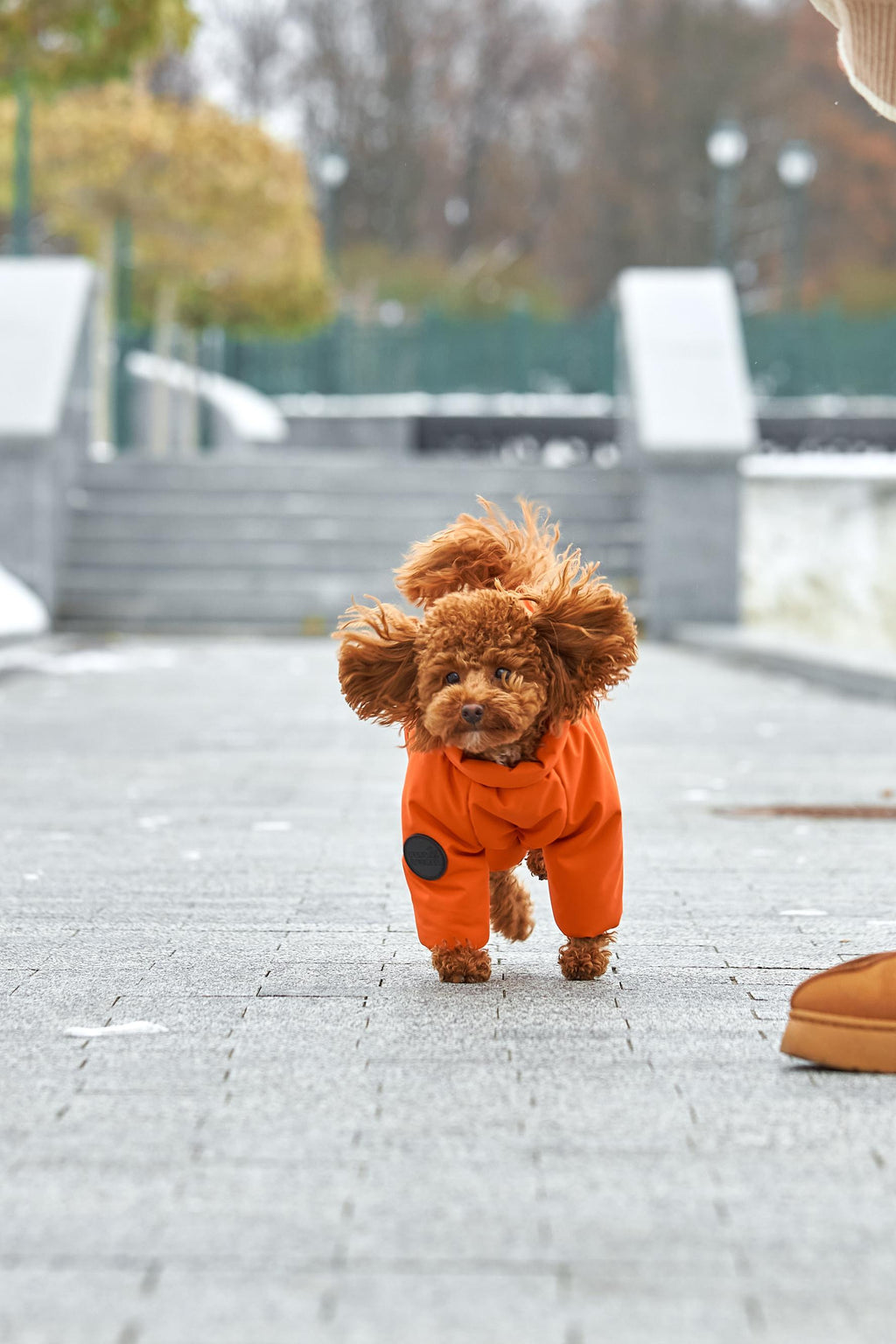 Membrane waterproof dog suite orange — Boy — Synthetic down insulation with fleece