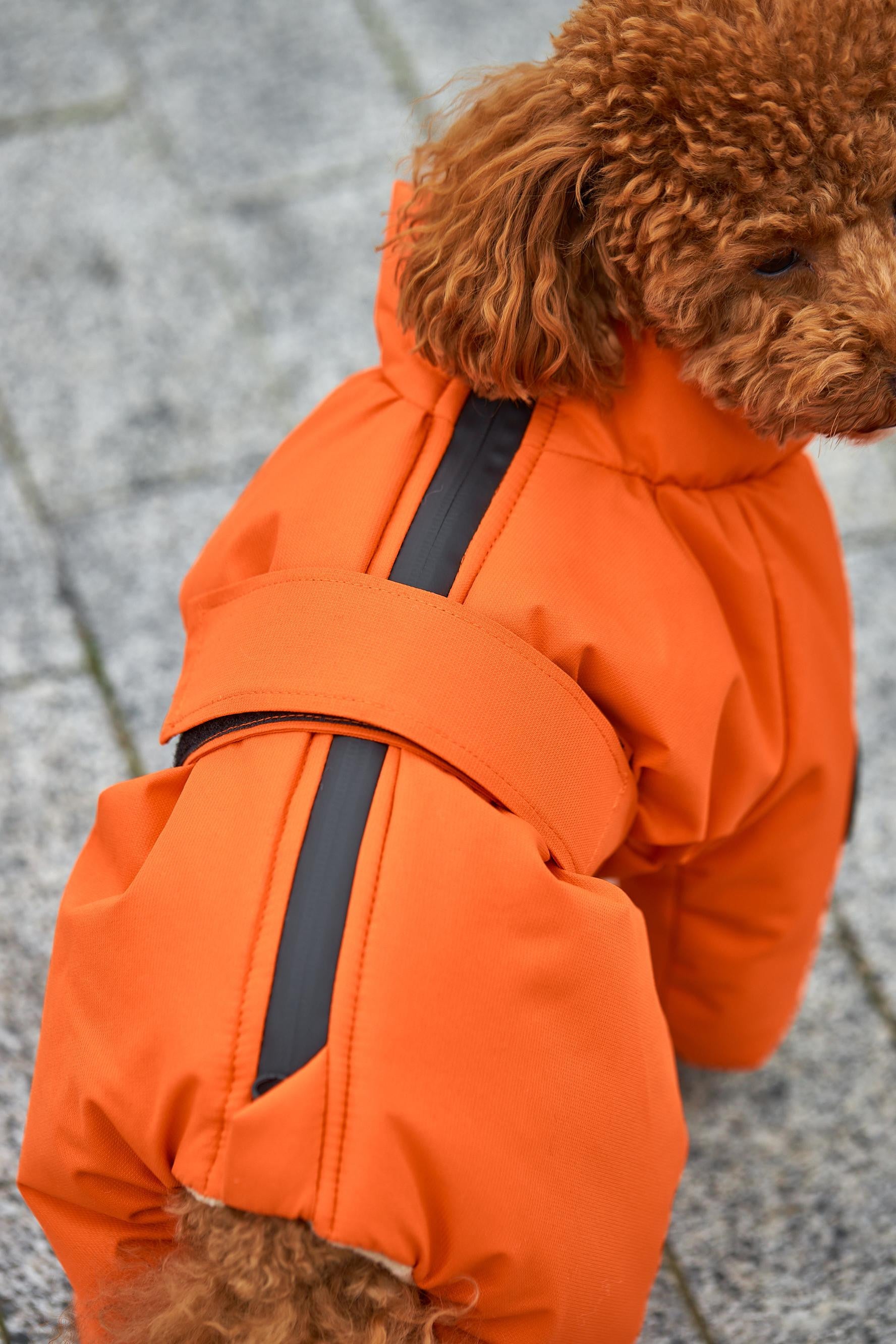 Membrane waterproof dog suite orange — Boy — Synthetic down insulation with fleece