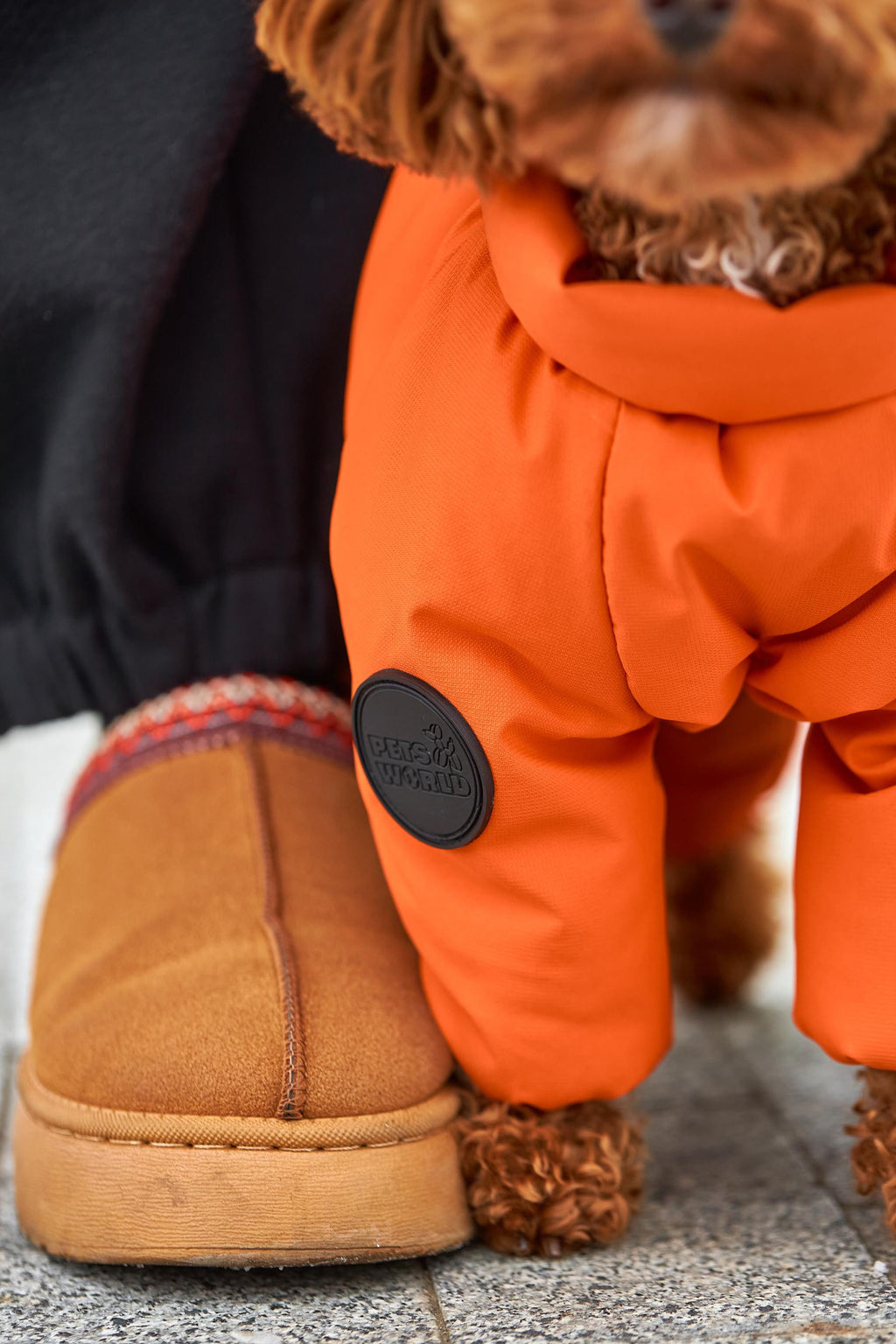 Membrane waterproof dog suite orange — Boy — Synthetic down insulation with fleece
