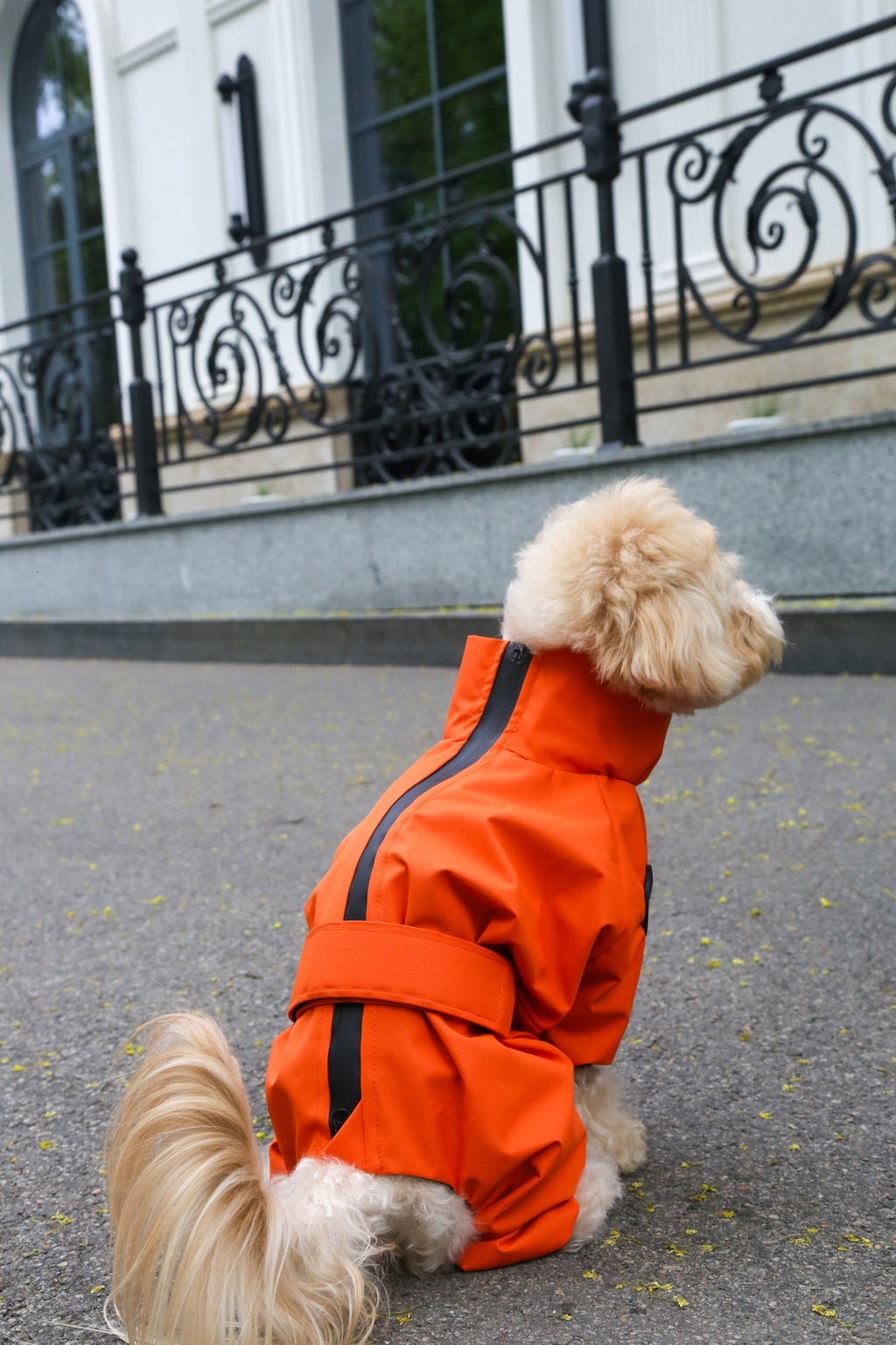 Membrane waterproof dog suite orange — Boy — Synthetic down insulation with fleece