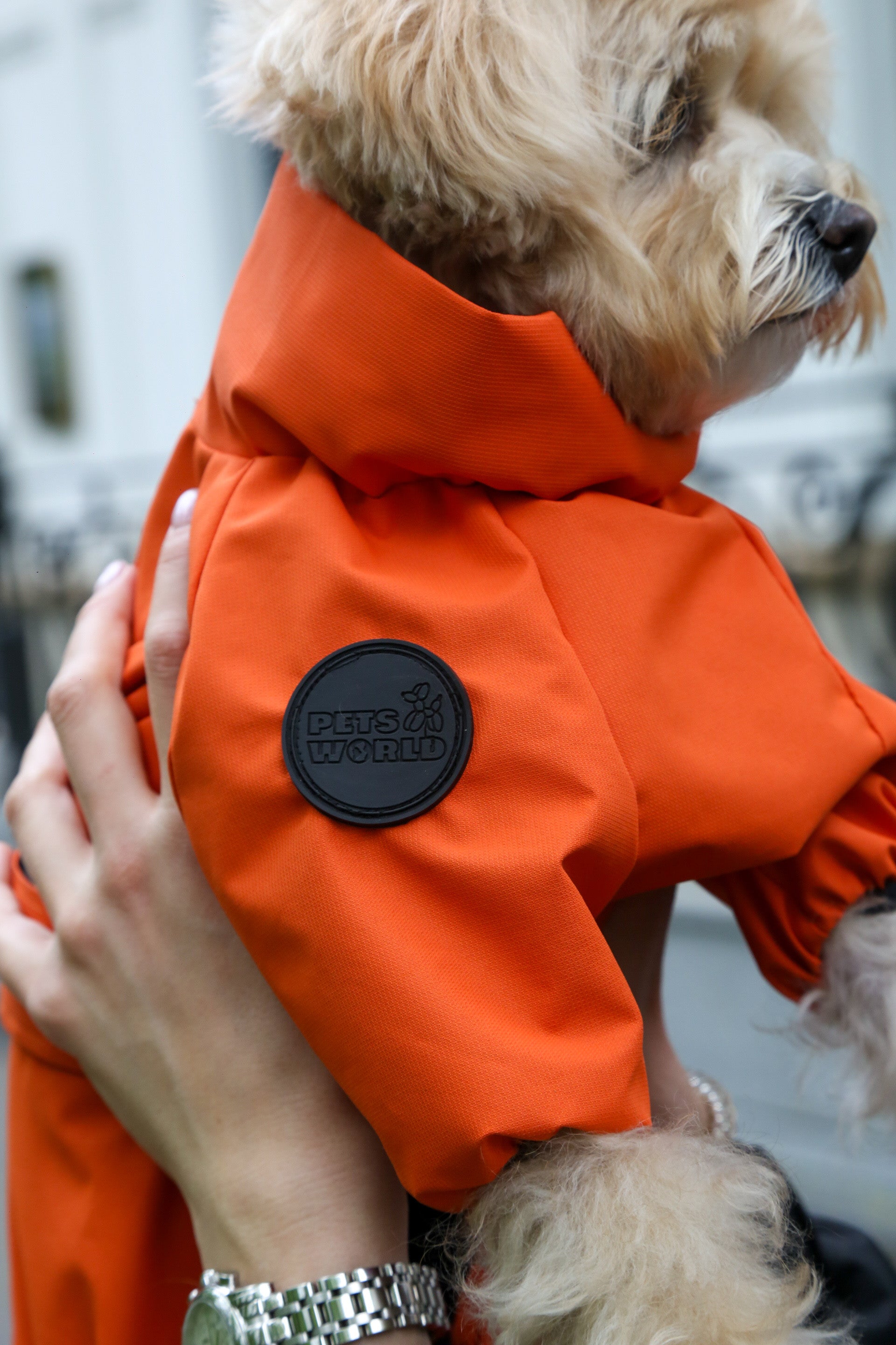 Membrane waterproof dog suite orange — Boy — Synthetic down insulation with fleece