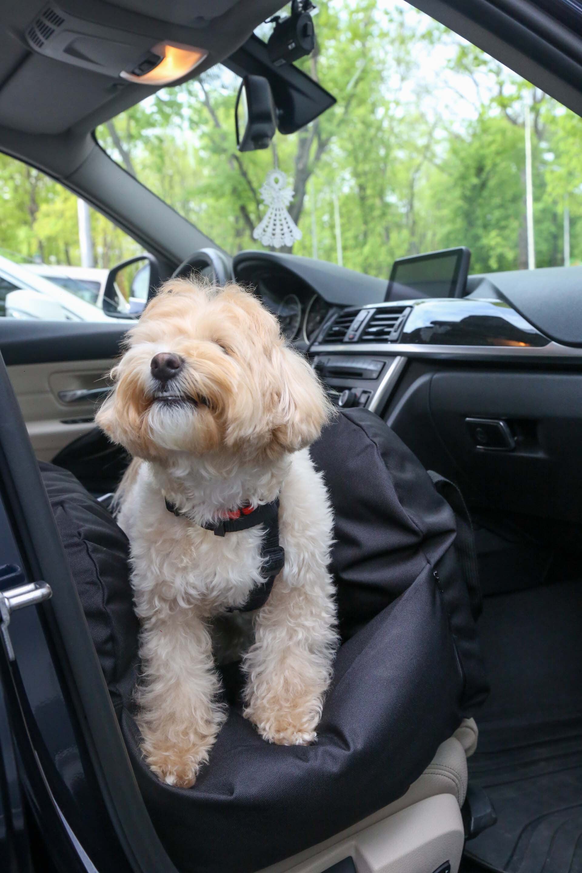 Car seat for dog — Black