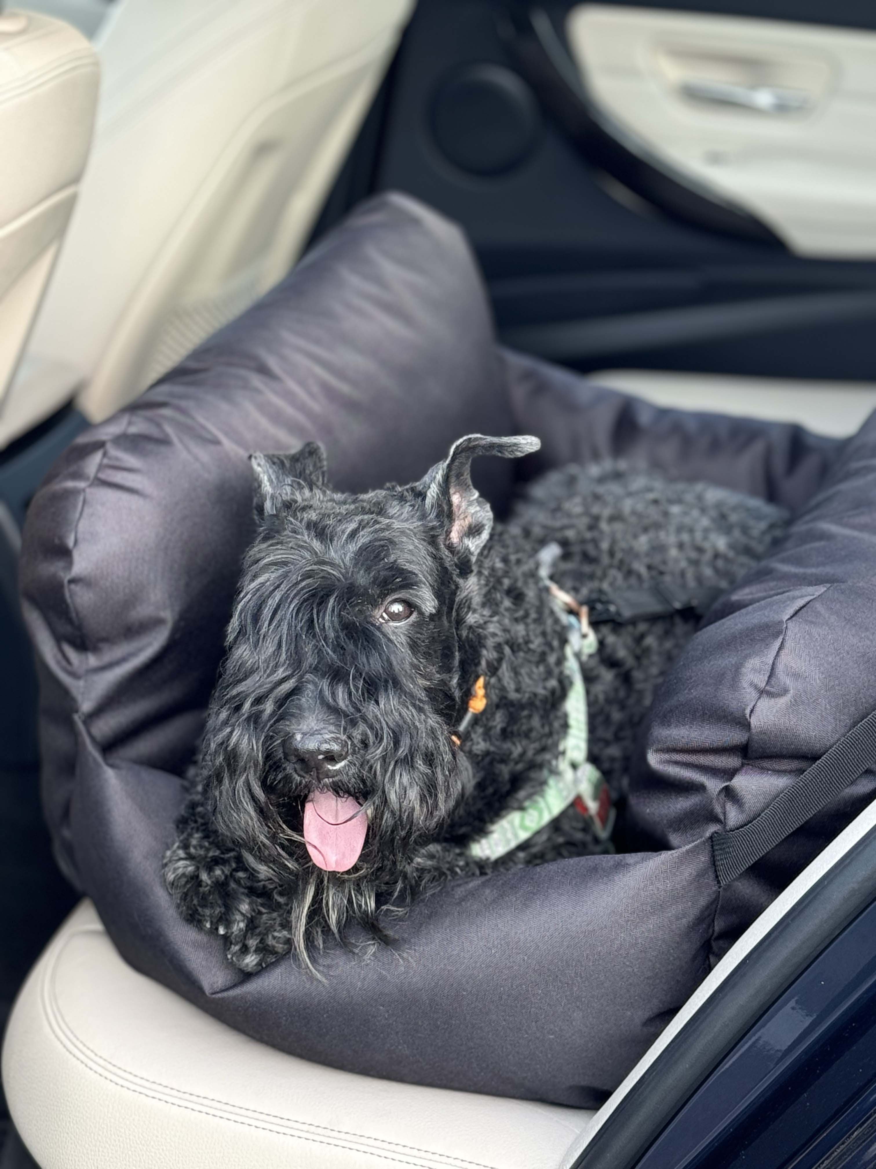 Car seat for dog — Black