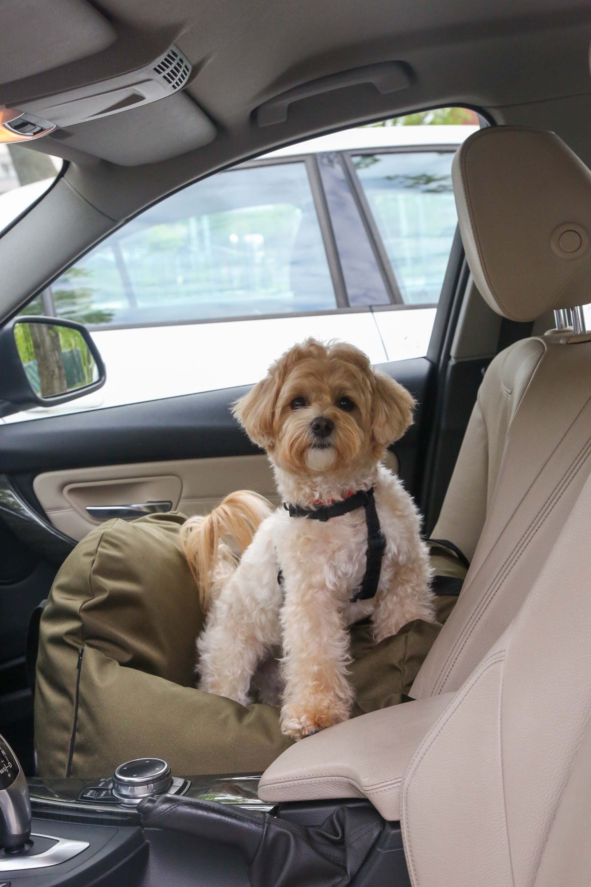 Car seat for dog — Khaki