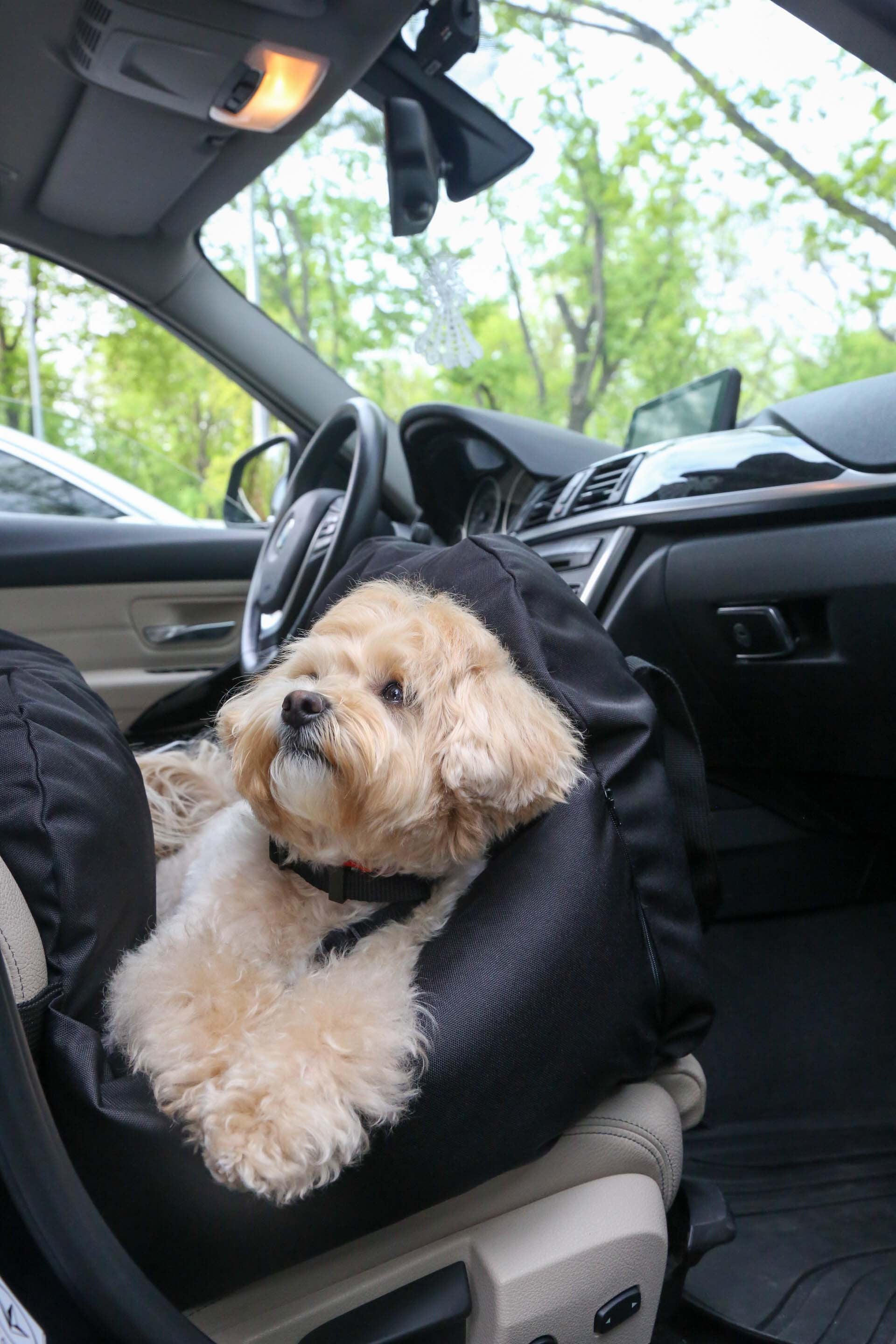 Car seat for dog — Black