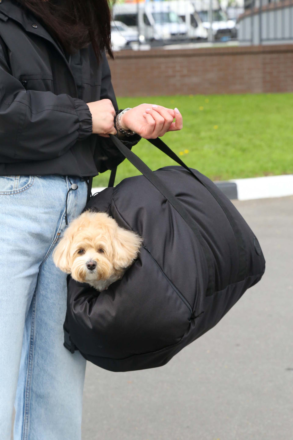 Car seat for dog — Grey