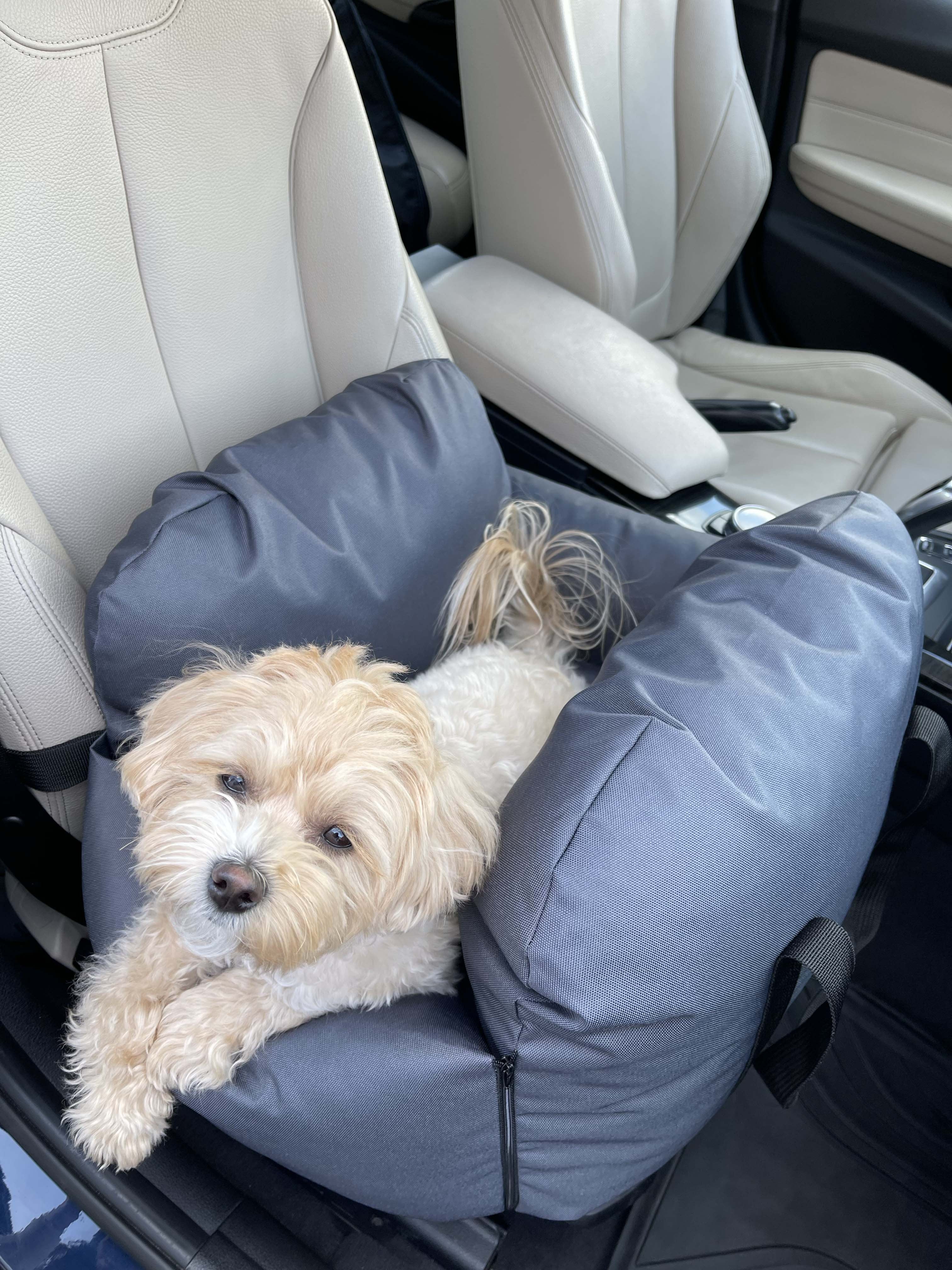 Car seat for dog — Grey