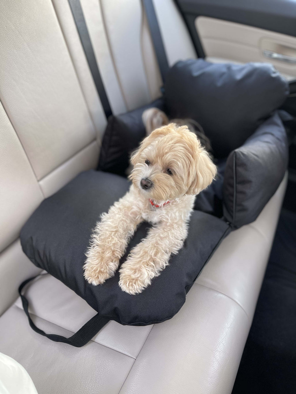 Car seat for dog — Grey