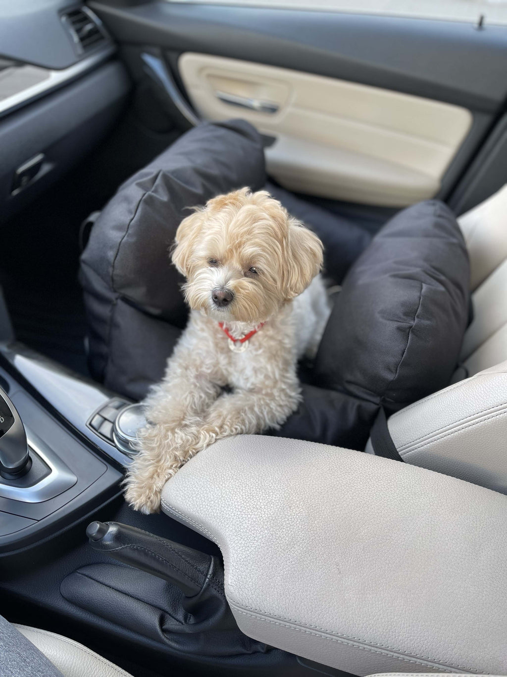 Car seat for dog — Black
