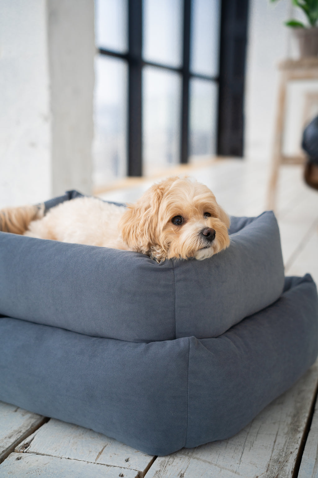 Dog bed "Comfort" velour — Dark Grey