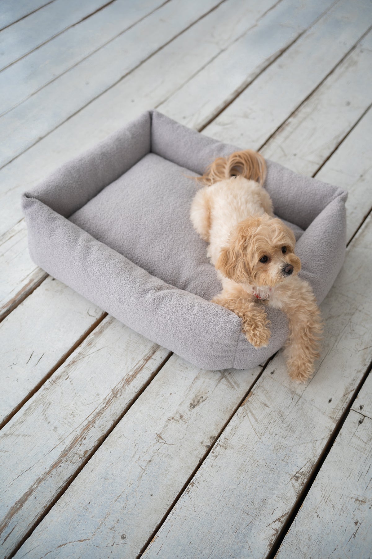 Dog bed "Comfort" boucle — Grey