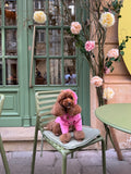 Denim beret for dogs — Pink