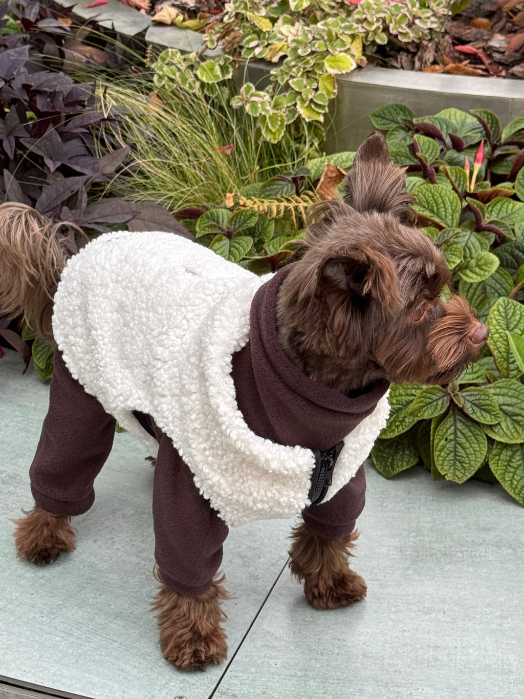 Vest Teddy — Chocolate