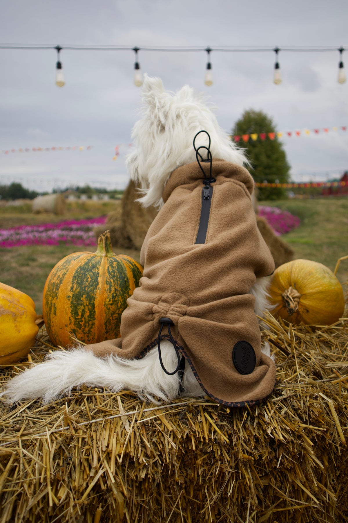 Fleece dog blanket coat — Coyote