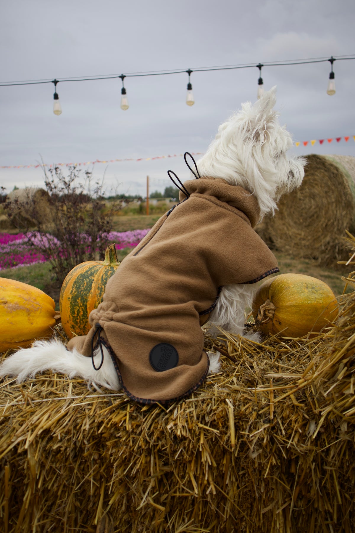 Fleece dog blanket coat — Coyote