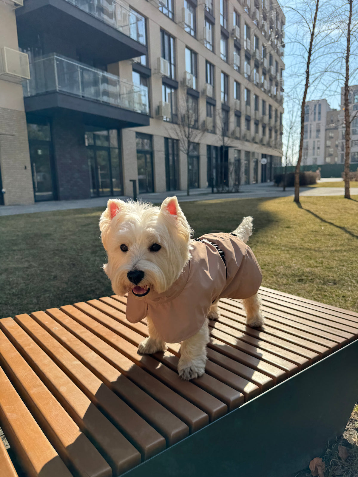 Membrane dog blanket coat — Beige