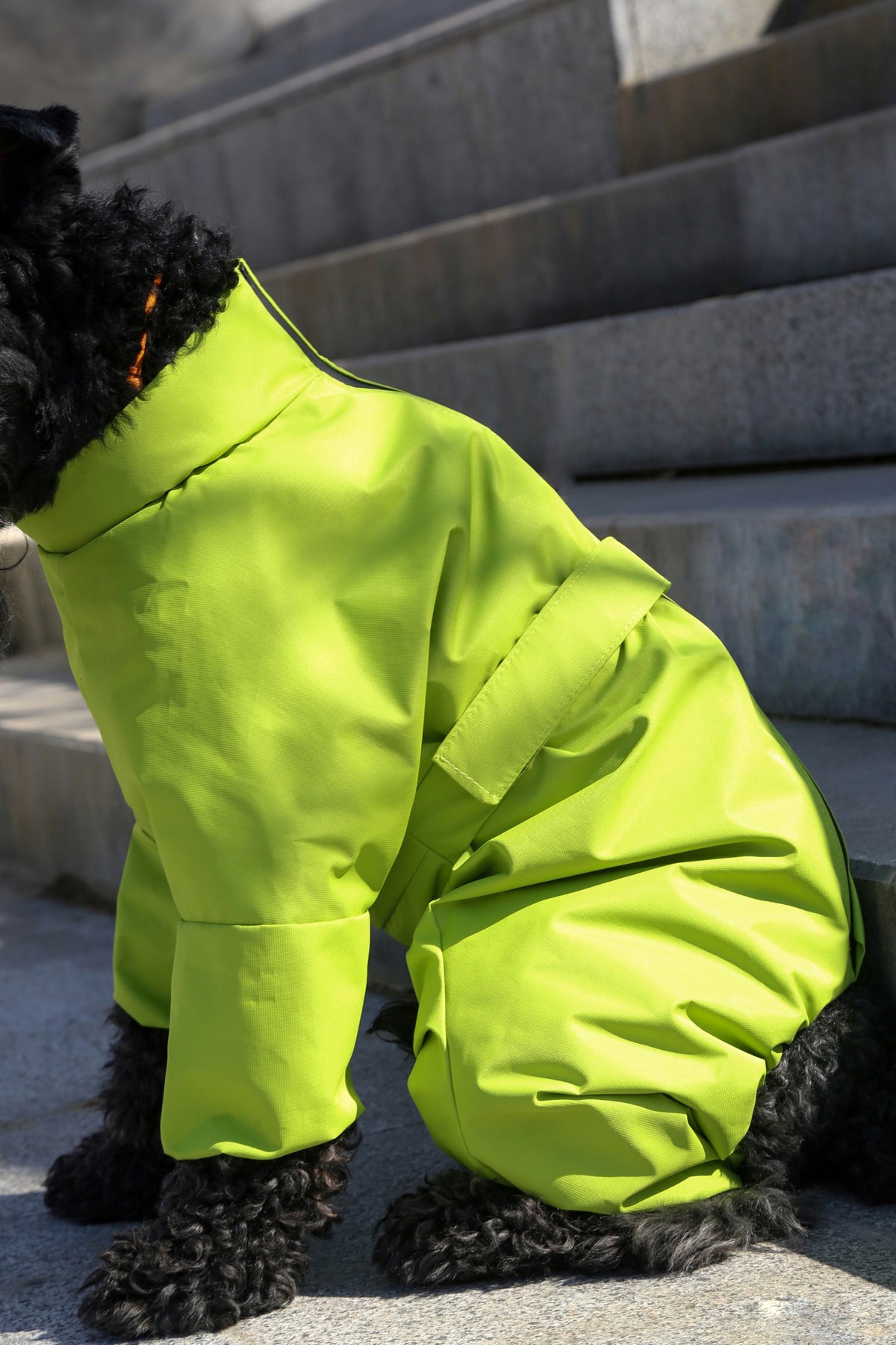 Raincoat Spring — Lime