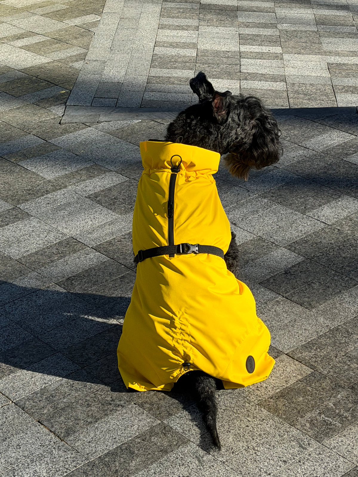 Membrane dog blanket coat — Yellow
