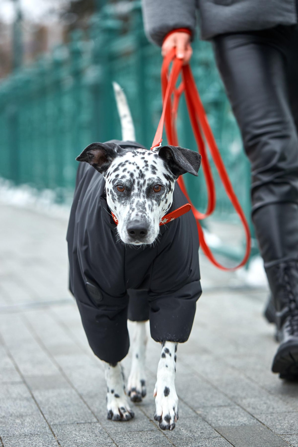 Raincoat Spring — Black
