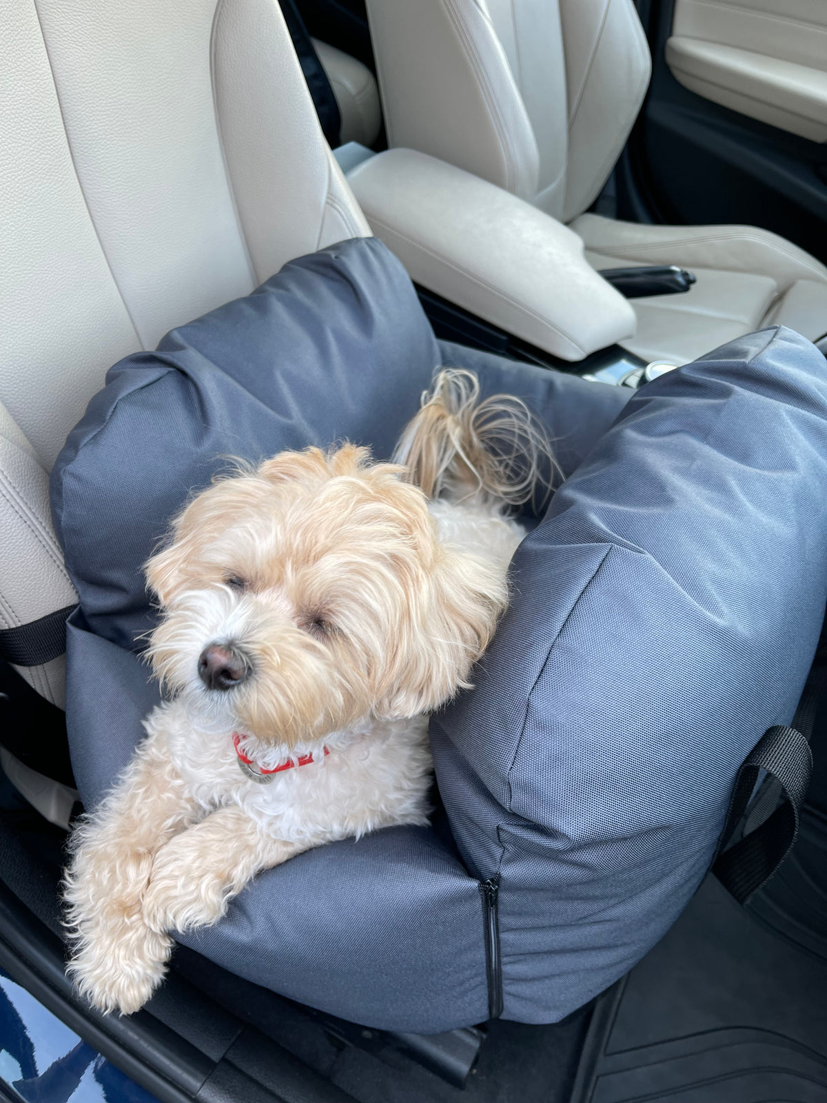Car seat for dog — Grey