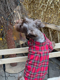Christmas plaid shirt for dogs — Red Plaid