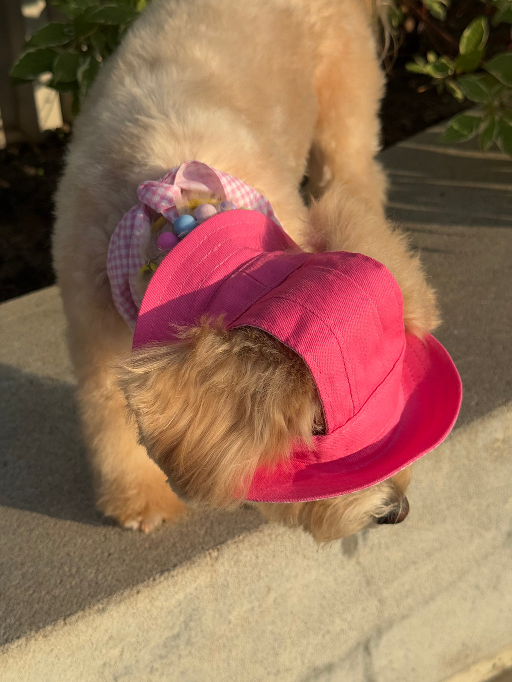 Dog panama hat + bandana set — Pink