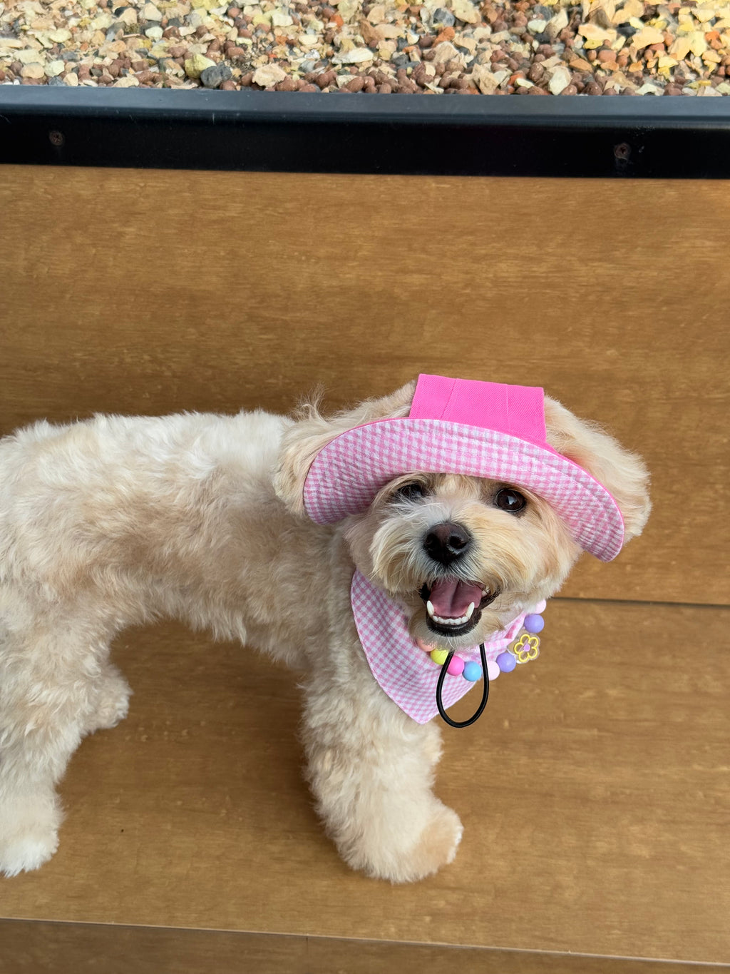 Dog panama hat + bandana set — Pink