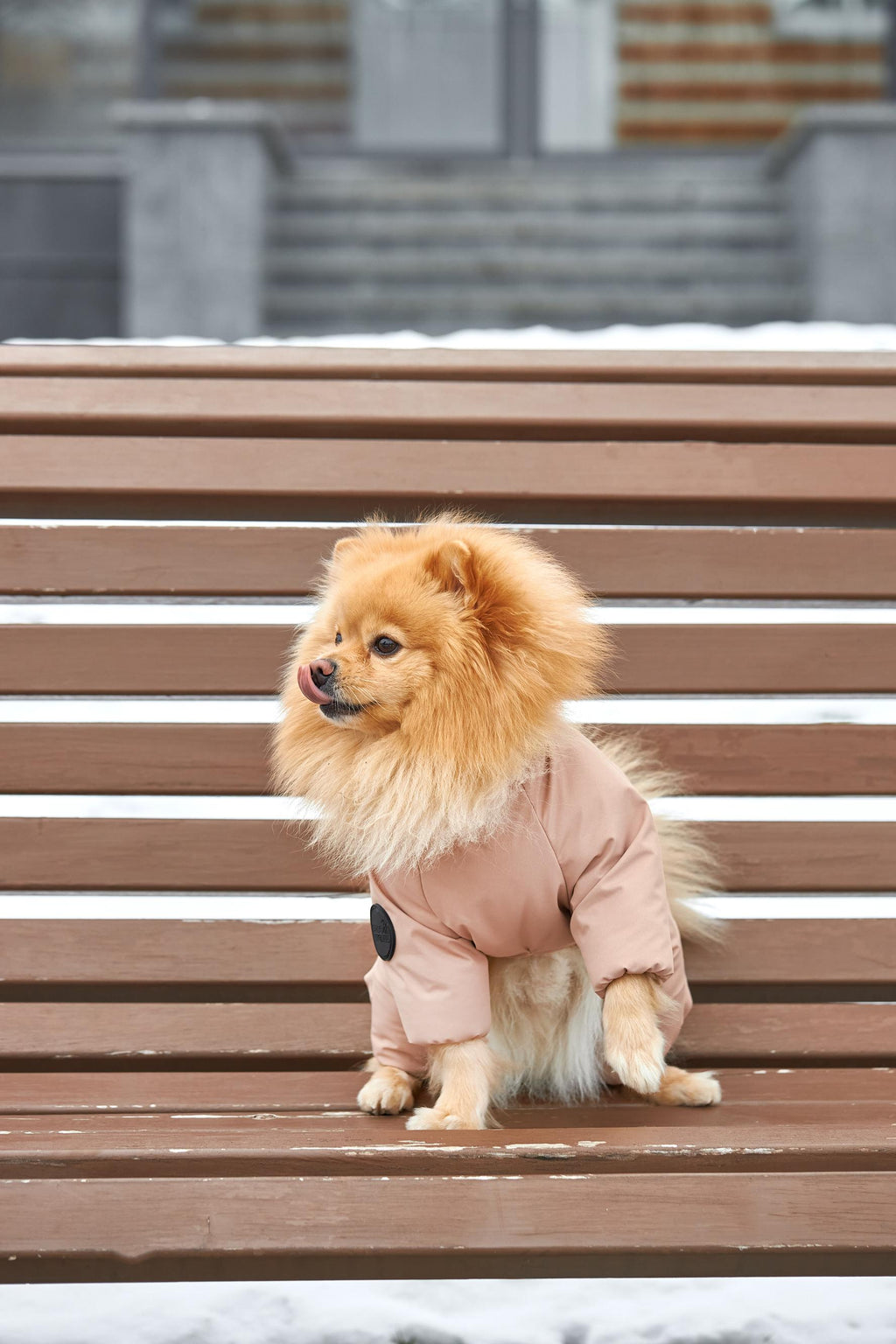 Демісезонний мембранний комбінезон з водонепроникної мембрани для всіх порід собак — Беж