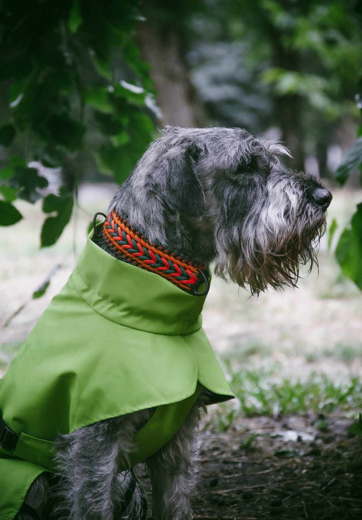 Membrane dog blanket coat — Lime