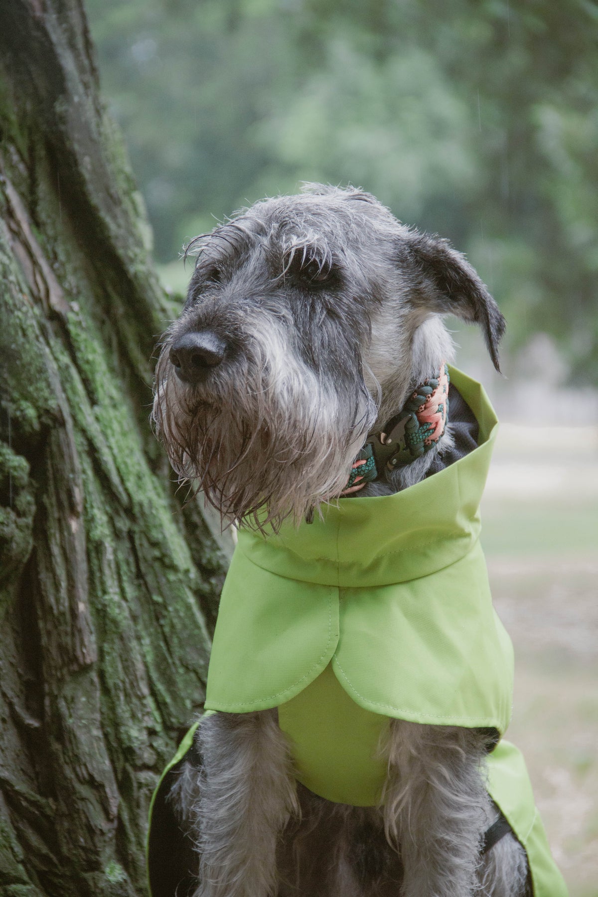 Membrane dog blanket coat — Lime