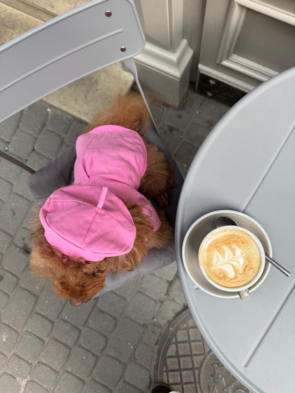 Denim beret for dogs — Pink