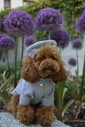 Denim shirt for dogs — Light Blue