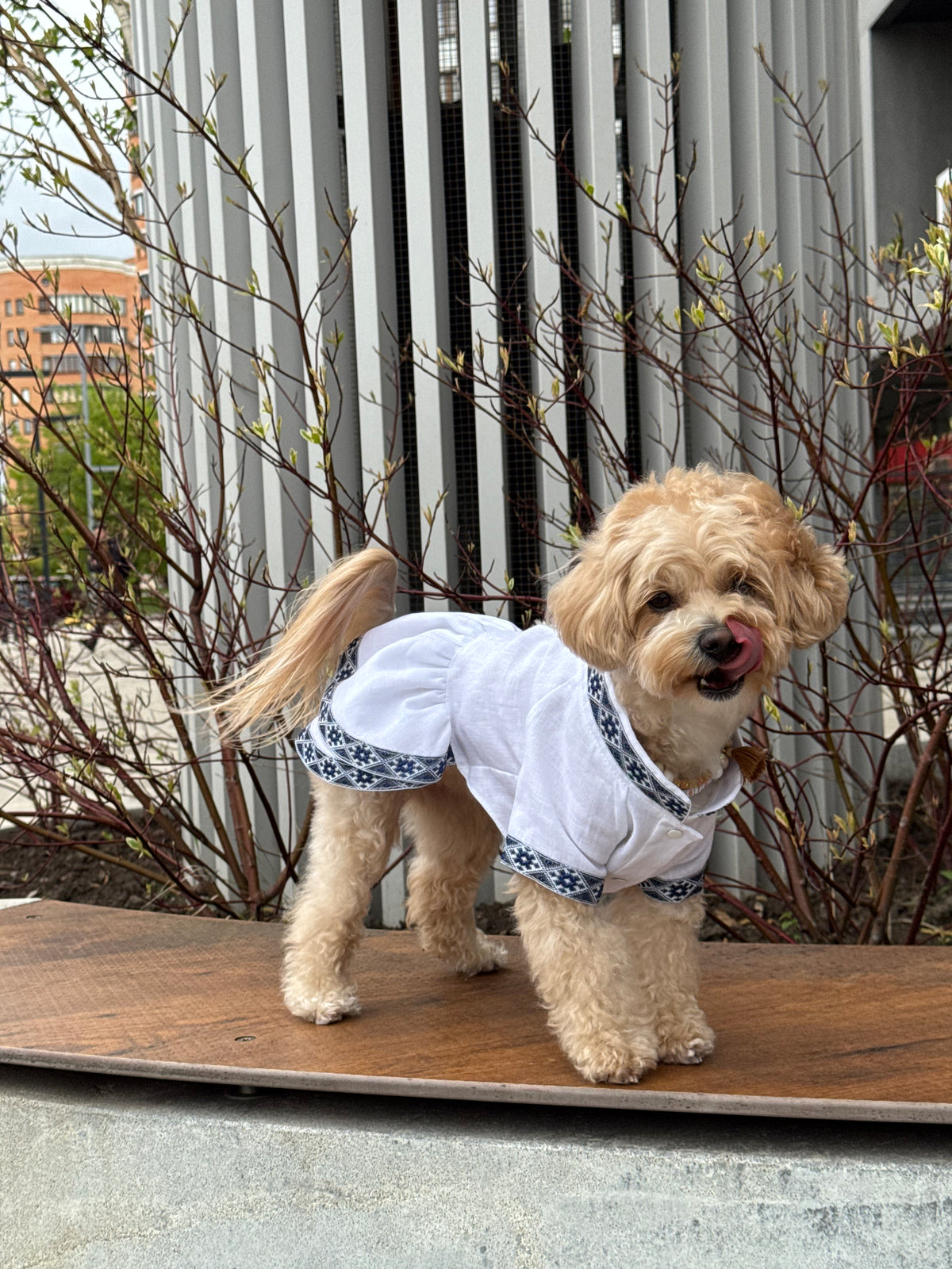 Embroidered linen dress — Blue — Girl