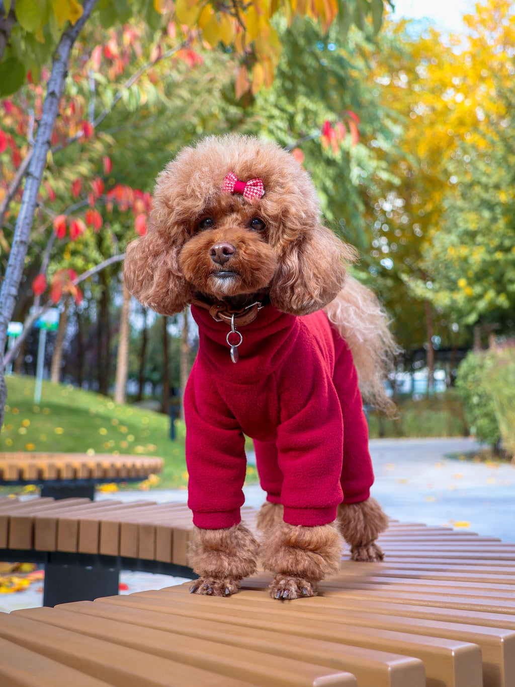 Fleece jumpsuit no-zipper (small breeds) — Burgundy