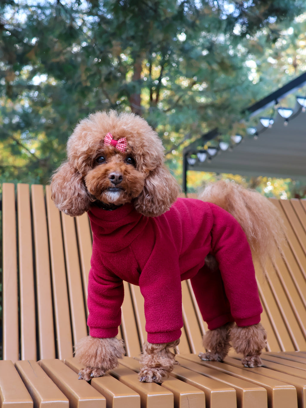 Fleece jumpsuit no-zipper (small breeds) — Burgundy