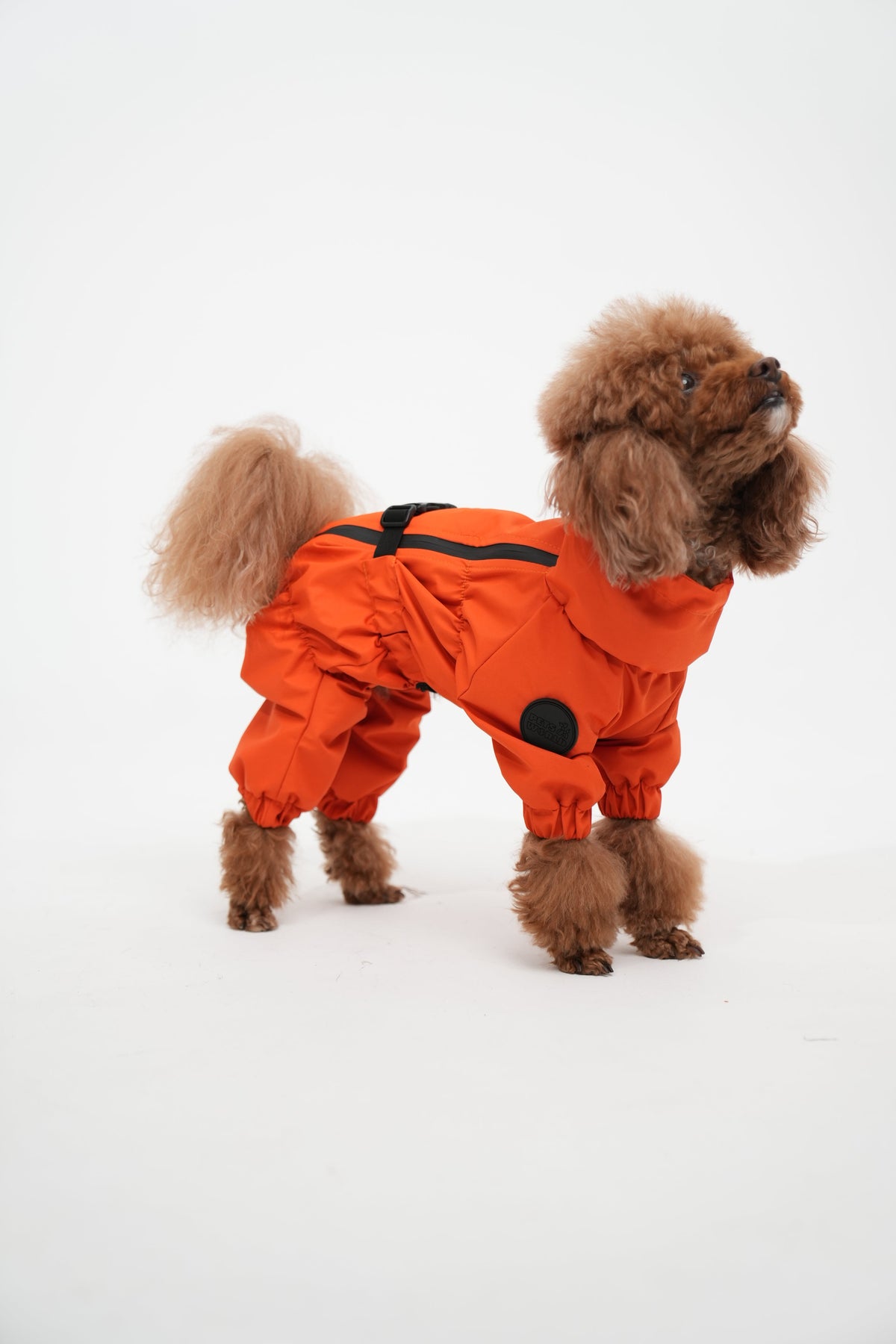 Membrane waterproof dog suite orange — Boy — Fleece